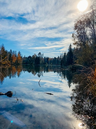 Birkensee zwischen Gelting und Eurasburg