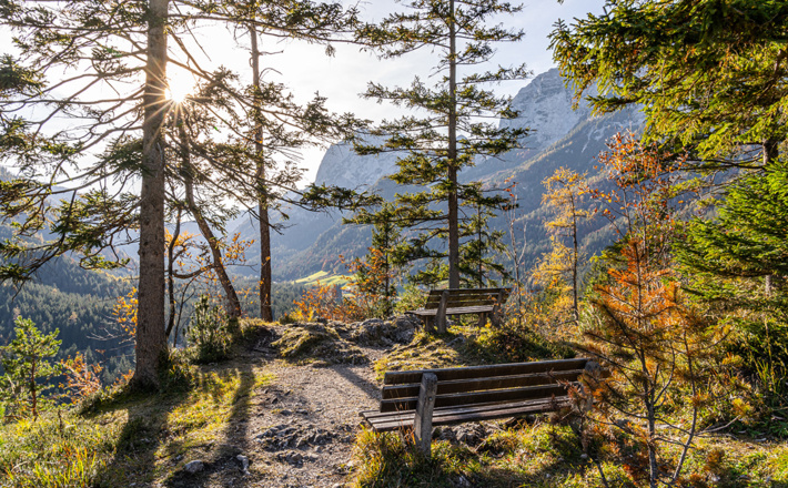 Herbst-Idylle auf dem Wartstein