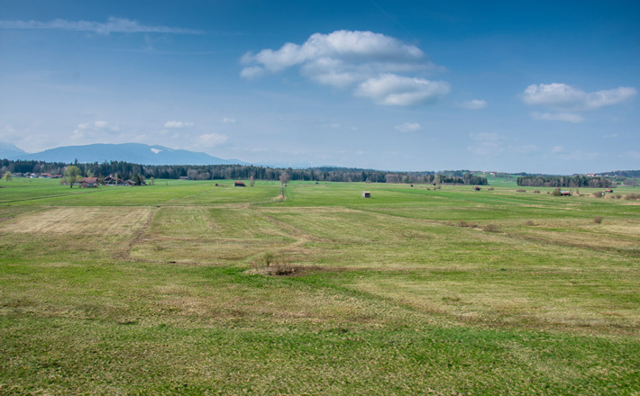 Landschaftsschutzgebiet Haarmoos