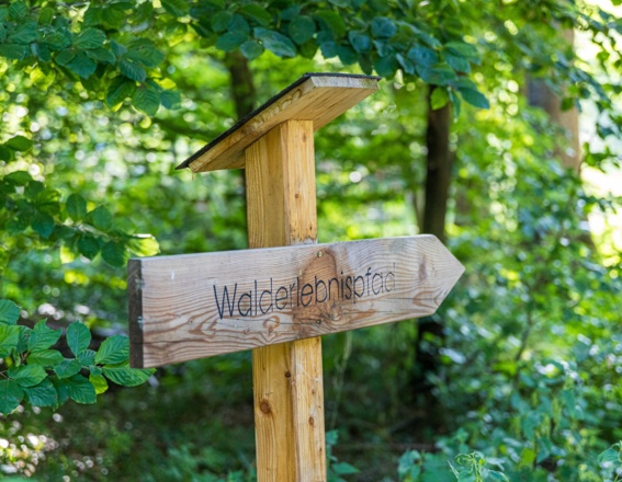 Wegweiser Walderlebnispfad