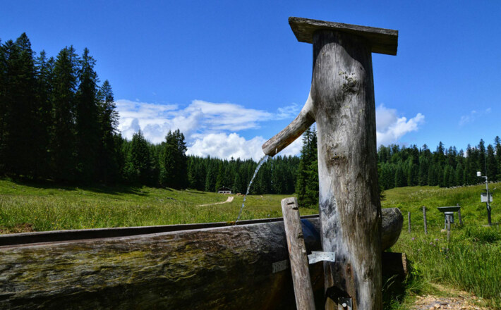 Brunnen auf der Anthauptenalm