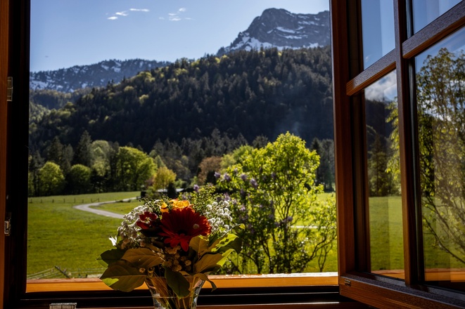 Blick aus dem Fenster