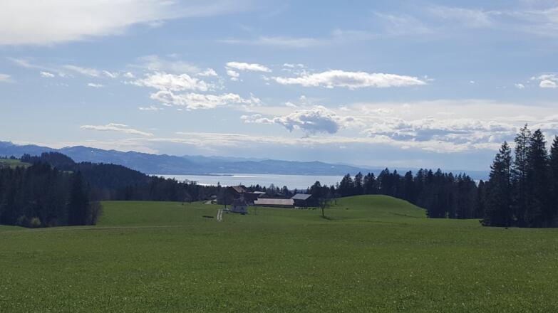 Blick von Lötz zum Bodensee