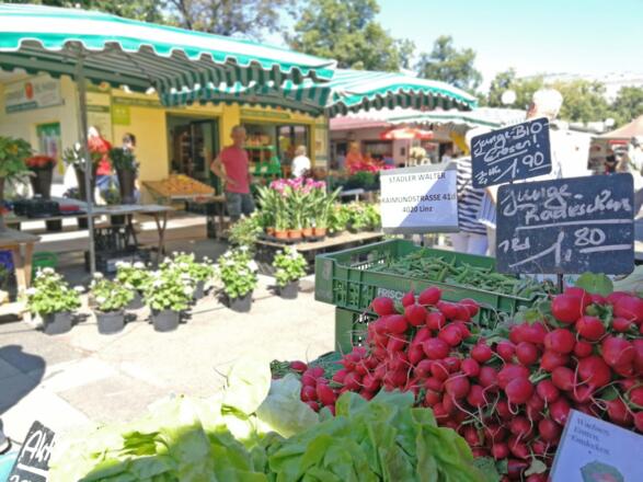 S%c3%bcdbahnhofmarkt_EM (3)