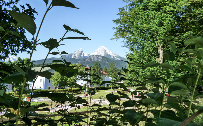 Blick über den Luitpoldpark zum Watzmann