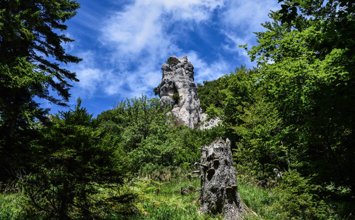 Blick von unten zur Steinernen Agnes