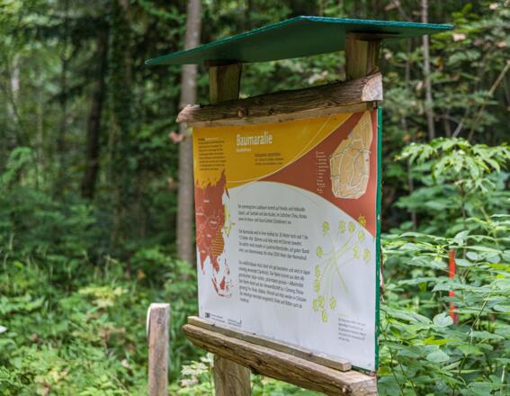 Infotafel im Welt.Erlebnis.Wald