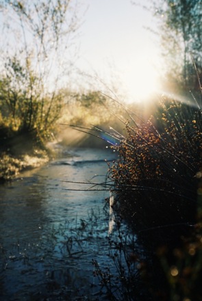 Naturschutzgebiet Isarauen