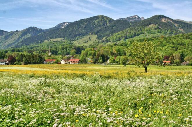Ferienwohnung Kaiserblick - Spazierwege von der Ferienwohnung