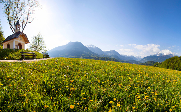 Blick zur Kapelle der Seligpreisungen auf dem Weinfeld