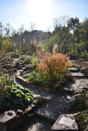 Schaugarten des Ökologischen Bildungszentrums in München
