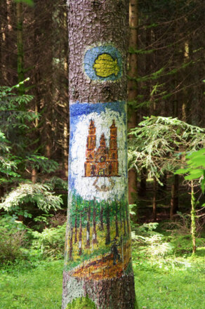 Baumbilder - u.a. Kathedrale von Santiago de Compostela