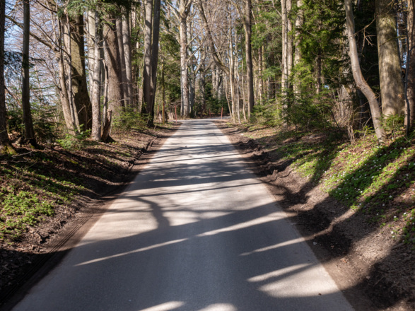 Rückfahrt auf einsamen, kleinen Teestraßen