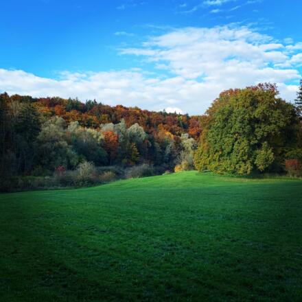 Wiese in der Amperschlucht