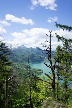 Ein erster Blick auf den Kochelsee.