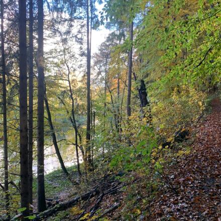 Amperschlucht bei Grafrath