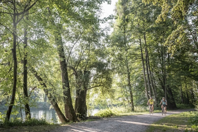 Radfahrer auf dem Isarradweg bei Moosburg