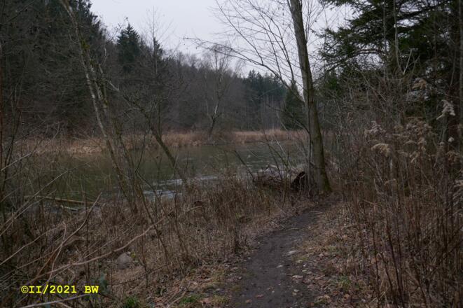 entlang der Amper (nordseitig)