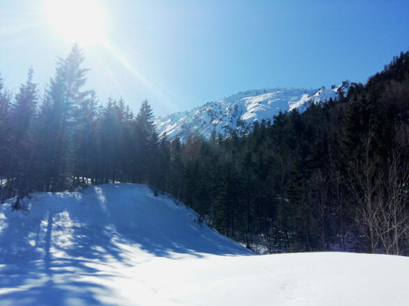 Mit Schneeschuhen zur Schüttbauernalm