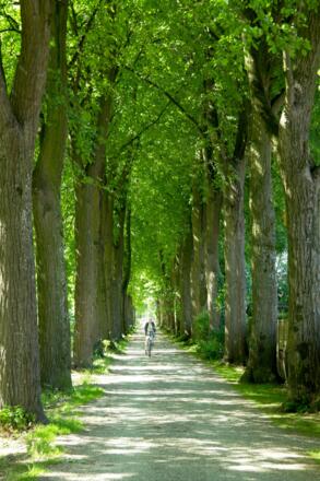 Franz-Xaver-Stahl-Straße