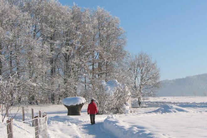 Chiemgau Thermen Kurpark