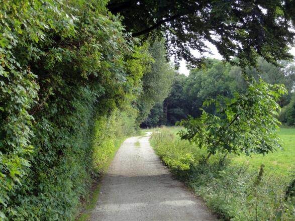 Weg in Pretzen