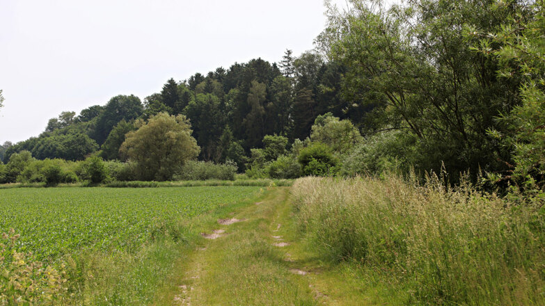 07 - Oberbayern