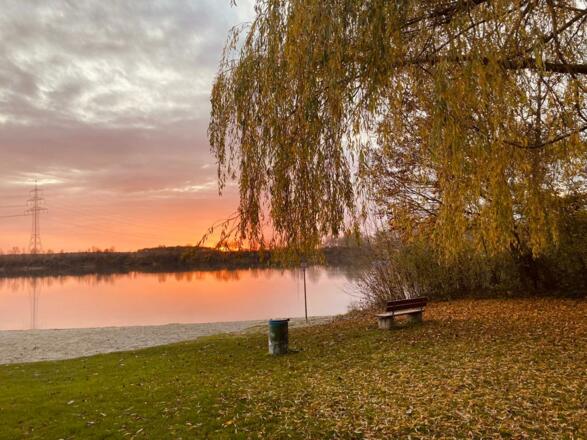 rosaorangener Sonnenuntergang mit verfärbter Buche am Echinger See