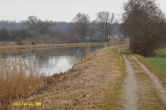 Amperdamm bei Schöngeising Südseite