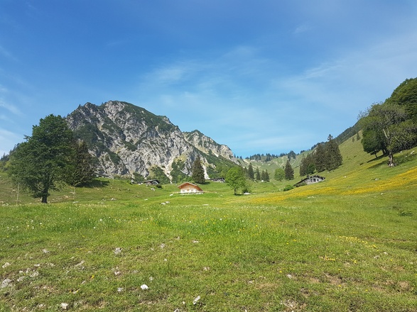 Blick über die weite Almfläche zum Breitenstein