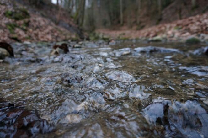 Im Tal des Peterbauernbachs