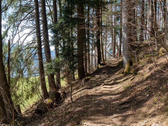Beginn der Wanderung auf dem Kobelweg