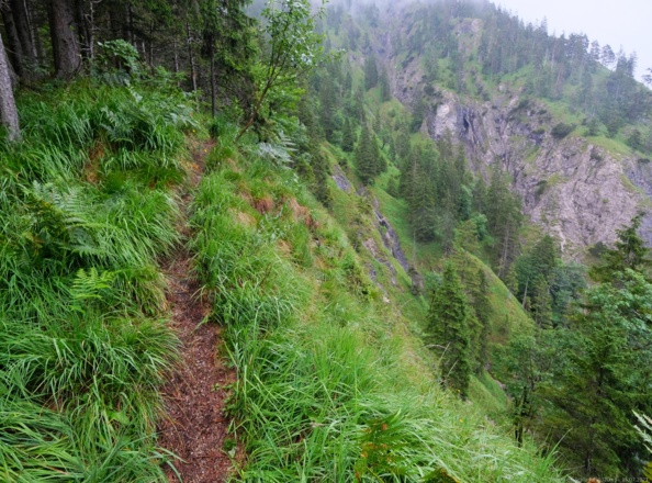Weg in die Schlucht (1020m)  -  15.07.2021