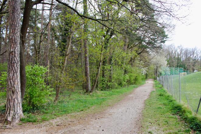 Endstrecke Trimm-Dich-Pfad