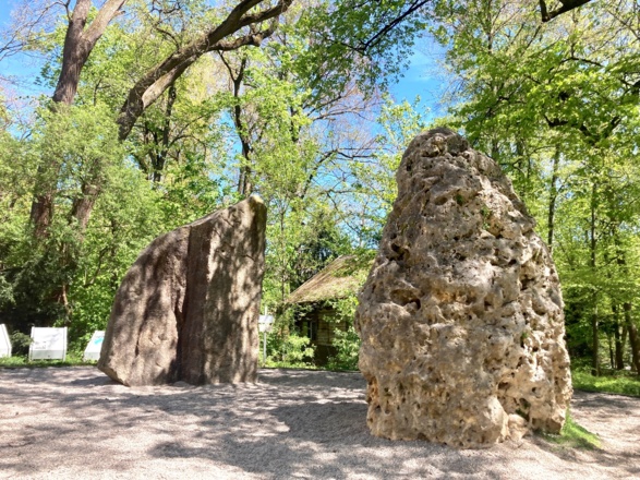 Boulderfelsen im Garten des Alpinen Museums