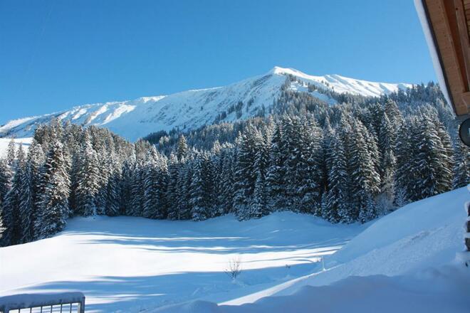Villa-Vertikal_Winter_hinterm_Haus2