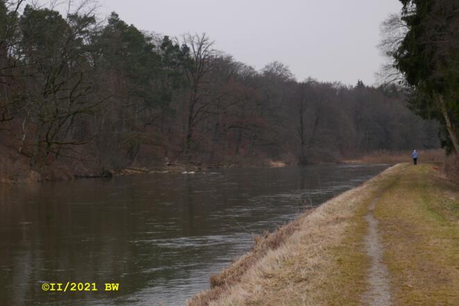 Amperdamm bei Schöngeising Nordseite