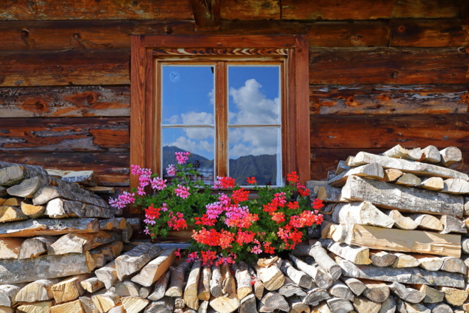 Blumen vor dem Fenster