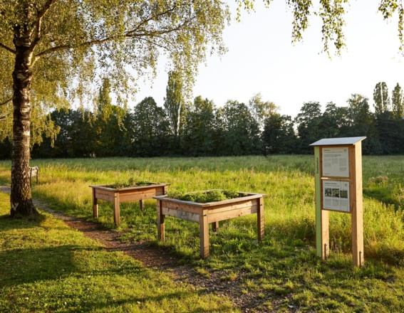 Die Station &quot;Stadtbeete&quot; am Stadtnaturpfad