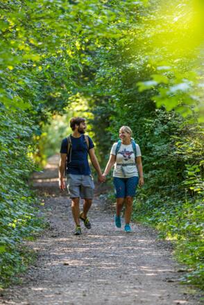 Wandern in den Amperauen bei Olching