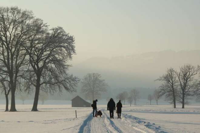 Winterspaziergang, Schlitten, Wanderer