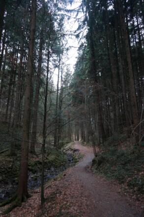 Im Tal des Peterbauernbachs