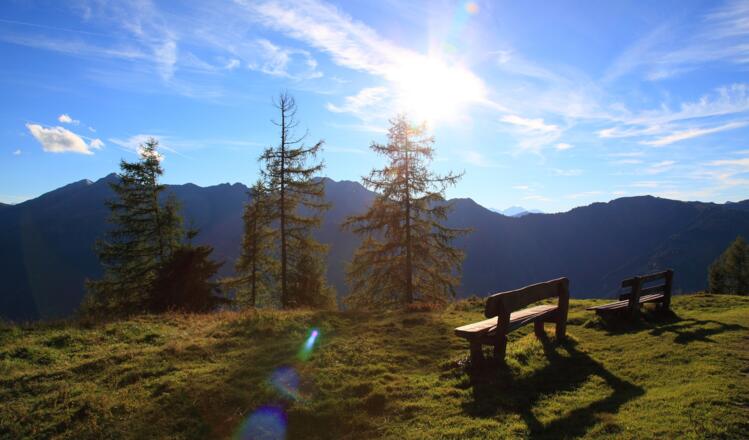 Aussichtsbank