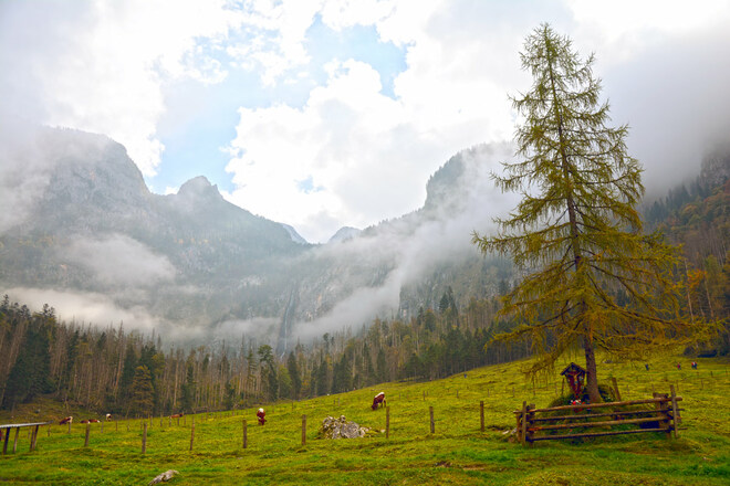 Blick von der Fischunkelalm zum Röthbach-Wasserfall