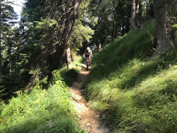 Am Singletrail der Enningalm