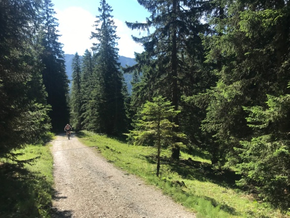 Auffahrt zum Eibsee