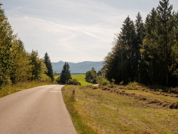 nach Sachsenkam