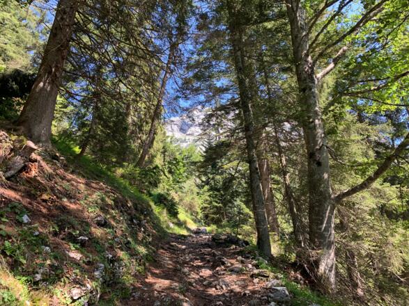 Auf dem Weg zur Lettlkaser Alm