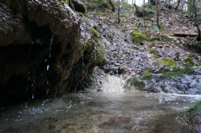 Sinterbildung am Peterbauernbach