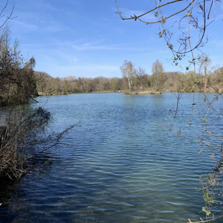Überblick über den Poschinger Weiher